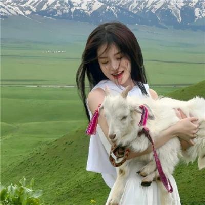 百变机兽之元气星魂